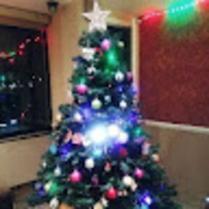 Meet your Posher, Tara